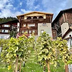 Swiss Near Flims Appartement Trin