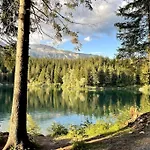 Апартаменты Swiss Near Flims