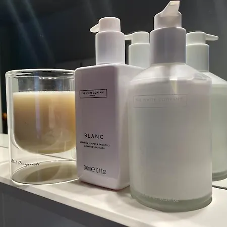 Swiss Near Flims Apartman Trin