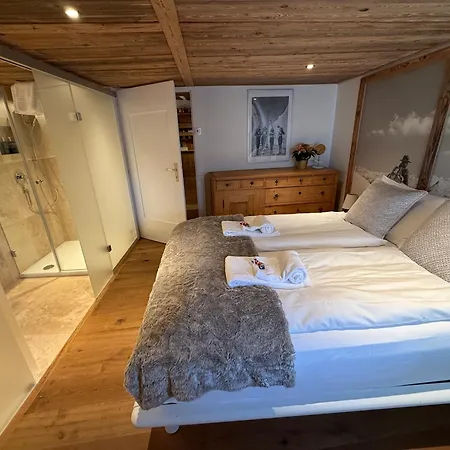 Swiss Near Flims * Trin