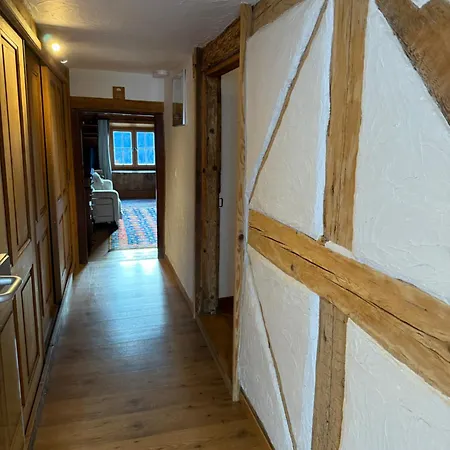 Apartment Swiss Near Flims Trin