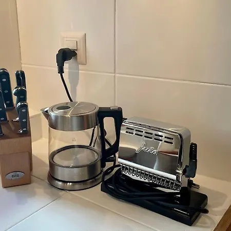 Апартаменты Swiss Near Flims Trin