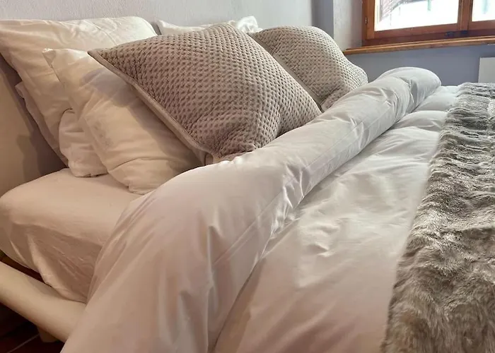 Daire Swiss Near Flims Trin