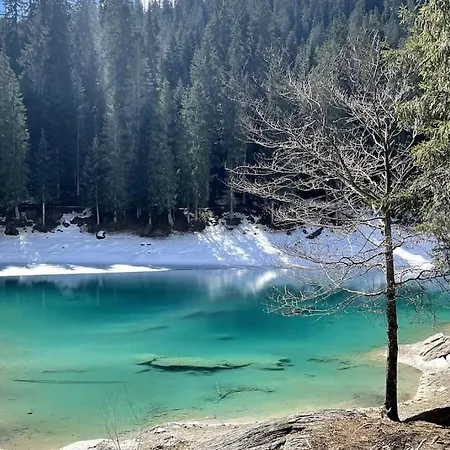 Swiss Near Flims *
